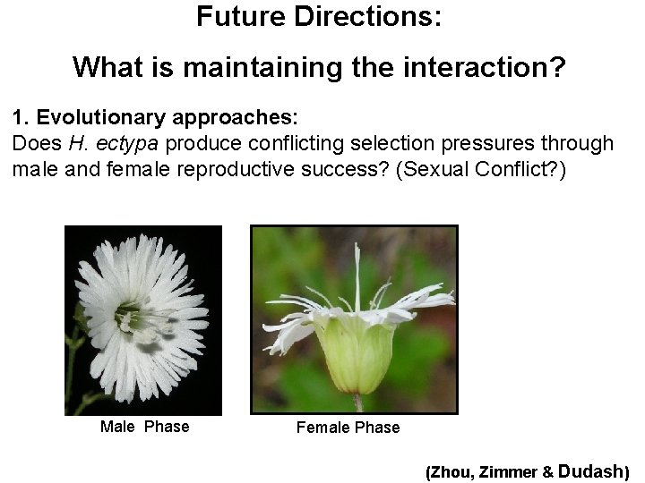 Future Directions: What is maintaining the interaction? 1. Evolutionary approaches: Does H. ectypa produce