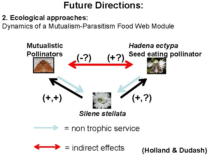 Future Directions: 2. Ecological approaches: Dynamics of a Mutualism-Parasitism Food Web Module Mutualistic Pollinators