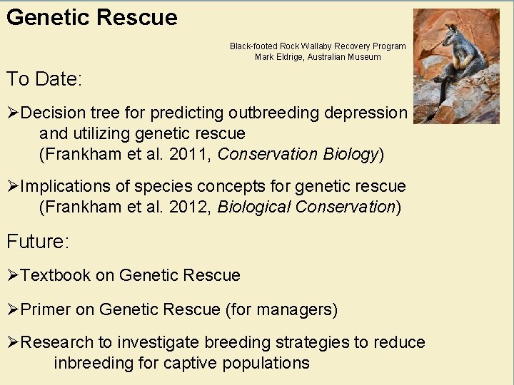 Genetic Rescue Black-footed Rock Wallaby Recovery Program Mark Eldrige, Australian Museum To Date: ØDecision