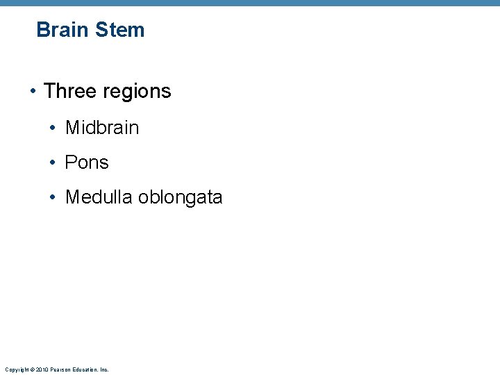 Brain Stem • Three regions • Midbrain • Pons • Medulla oblongata Copyright ©