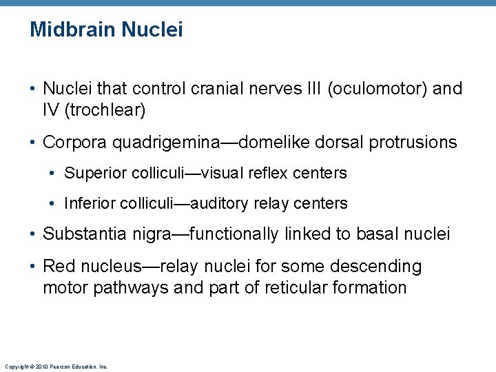 Midbrain Nuclei • Nuclei that control cranial nerves III (oculomotor) and IV (trochlear) •