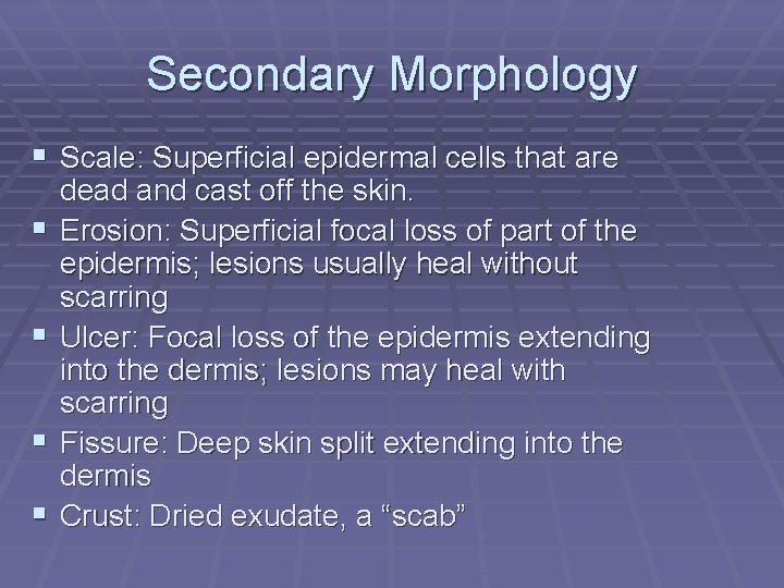 Secondary Morphology § Scale: Superficial epidermal cells that are § § dead and cast