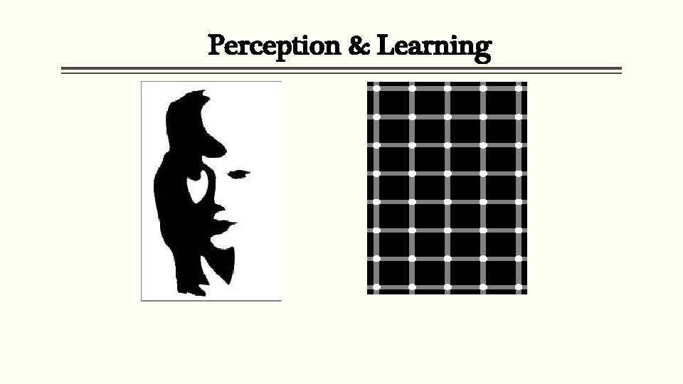 Perception & Learning 