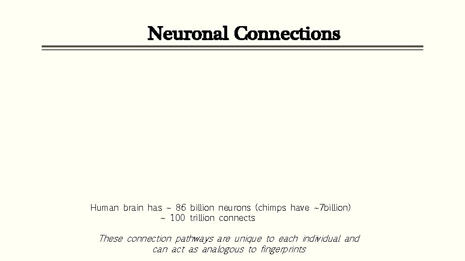  Neuronal Connections Human brain has ~ 86 billion neurons (chimps have ~7 billion)