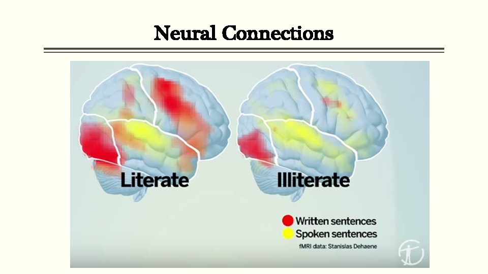 Neural Connections 