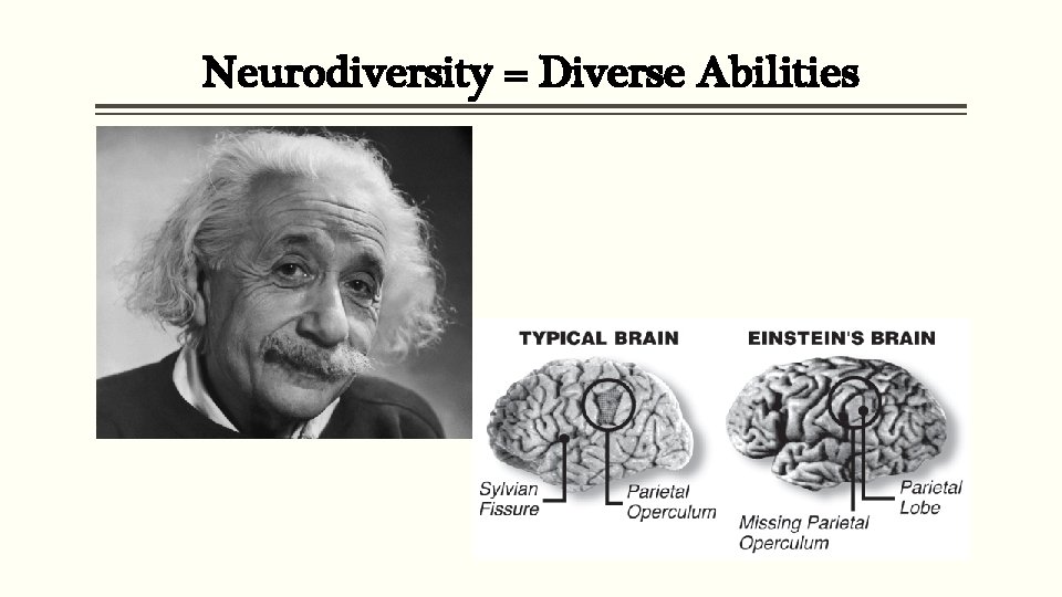 Neurodiversity = Diverse Abilities 