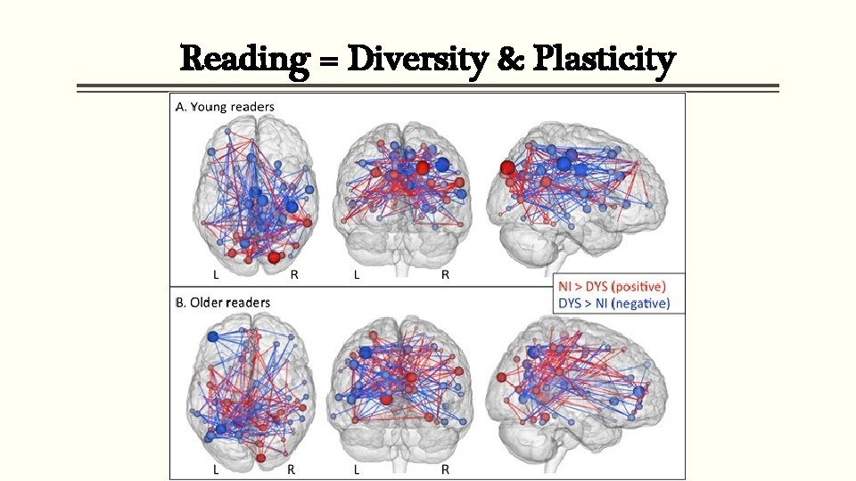 Reading = Diversity & Plasticity 