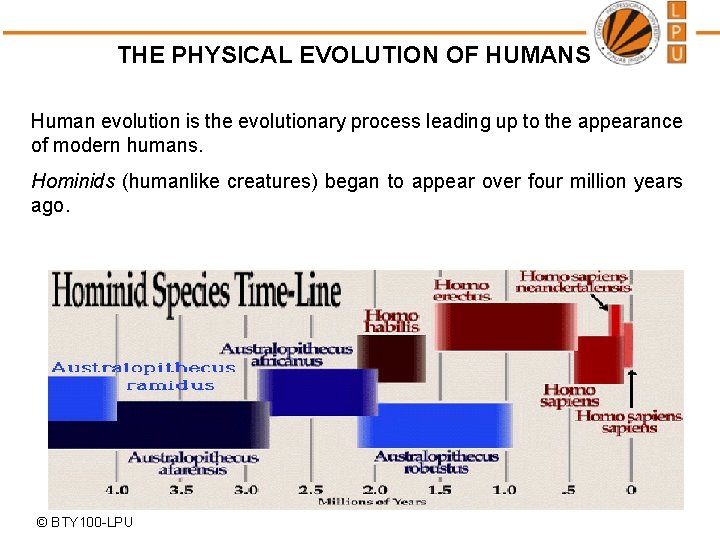 THE PHYSICAL EVOLUTION OF HUMANS Human evolution is the evolutionary process leading up to