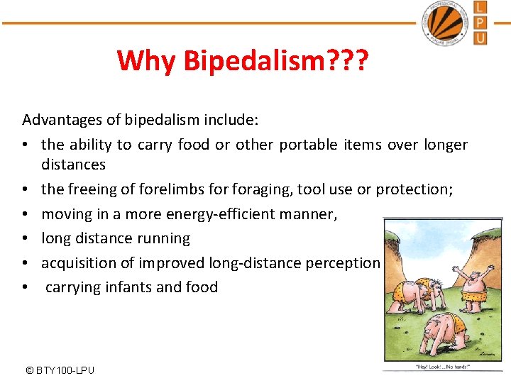 Why Bipedalism? ? ? Advantages of bipedalism include: • the ability to carry food