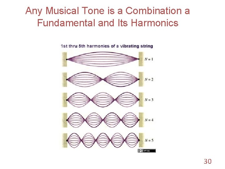 Any Musical Tone is a Combination a Fundamental and Its Harmonics 30 