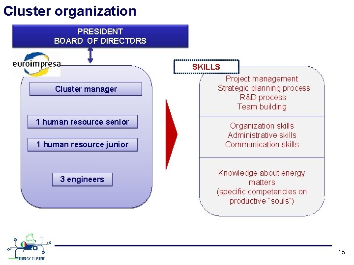 Cluster organization PRESIDENT BOARD OF DIRECTORS SKILLS Cluster manager 1 human resource senior 1