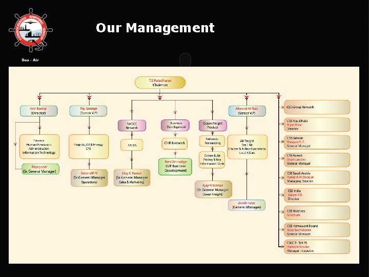 Our Management 