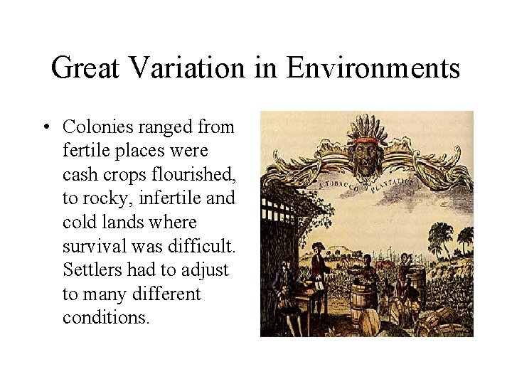 Great Variation in Environments • Colonies ranged from fertile places were cash crops flourished,