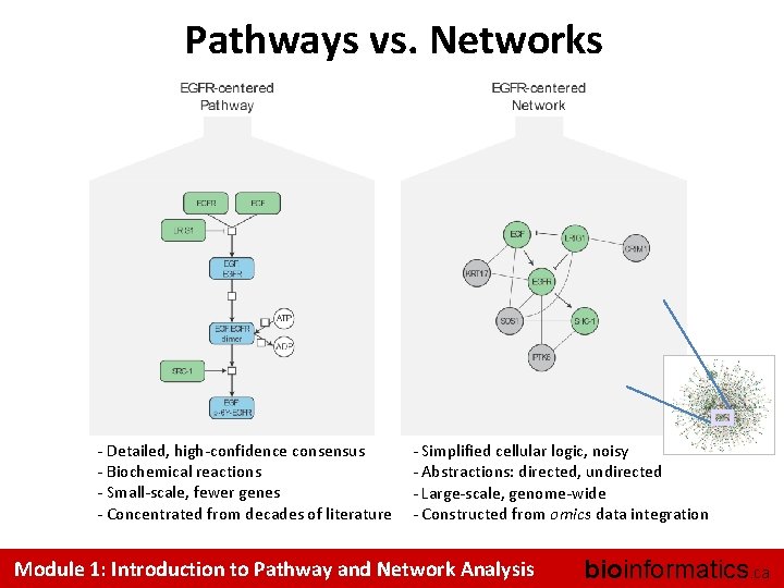 Pathways vs. Networks - Detailed, high-confidence consensus - Biochemical reactions - Small-scale, fewer genes