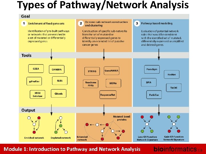 Types of Pathway/Network Analysis Module 1: Introduction to Pathway and Network Analysis bioinformatics. ca
