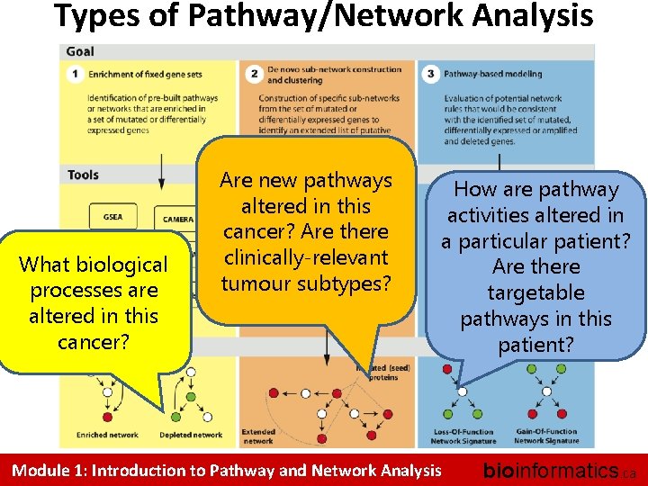 Types of Pathway/Network Analysis What biological processes are altered in this cancer? Are new