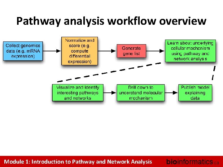 Pathway analysis workflow overview Module 1: Introduction to Pathway and Network Analysis bioinformatics. ca