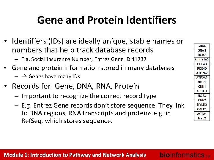 Gene and Protein Identifiers • Identifiers (IDs) are ideally unique, stable names or numbers