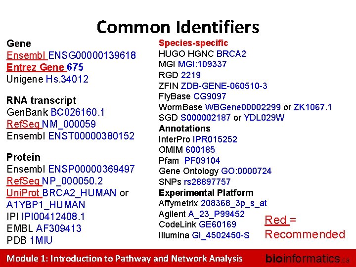 Common Identifiers Gene Ensembl ENSG 00000139618 Entrez Gene 675 Unigene Hs. 34012 RNA transcript