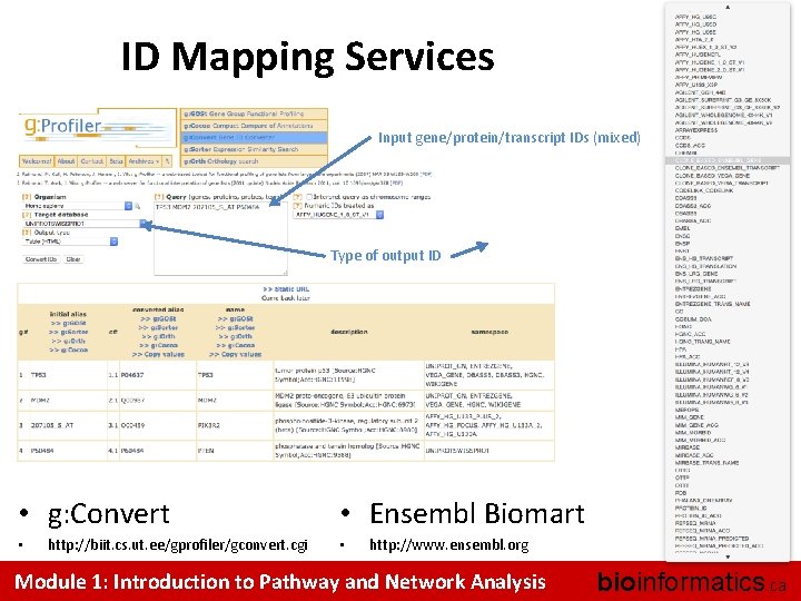ID Mapping Services Input gene/protein/transcript IDs (mixed) Type of output ID • g: Convert