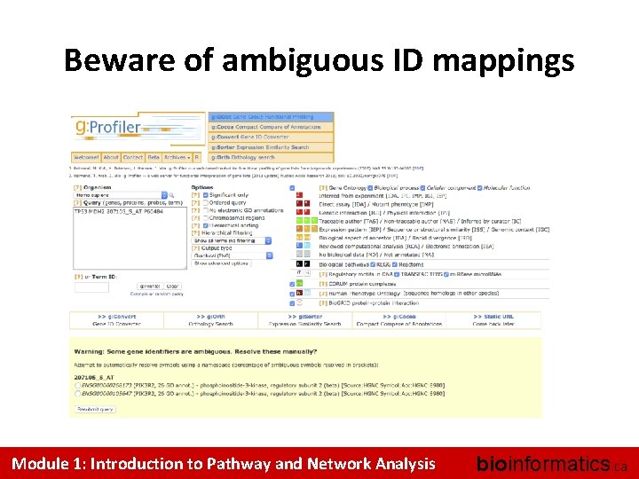 Beware of ambiguous ID mappings Module 1: Introduction to Pathway and Network Analysis bioinformatics.