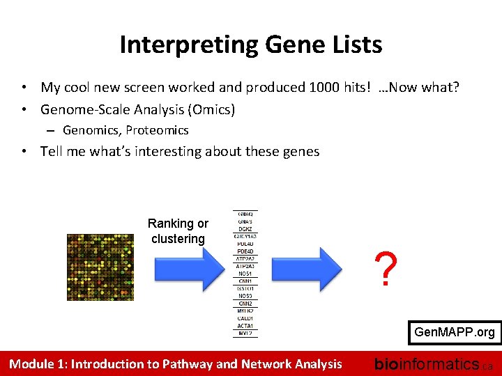 Interpreting Gene Lists • My cool new screen worked and produced 1000 hits! …Now