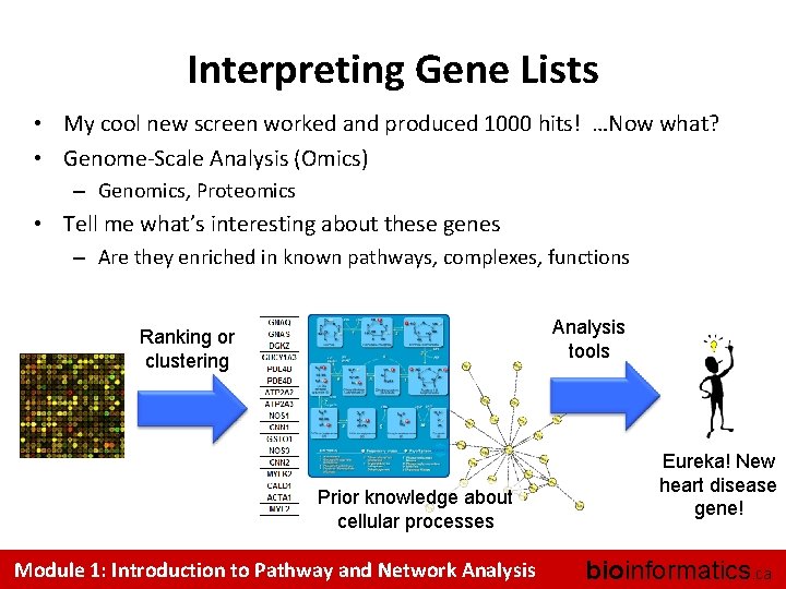 Interpreting Gene Lists • My cool new screen worked and produced 1000 hits! …Now