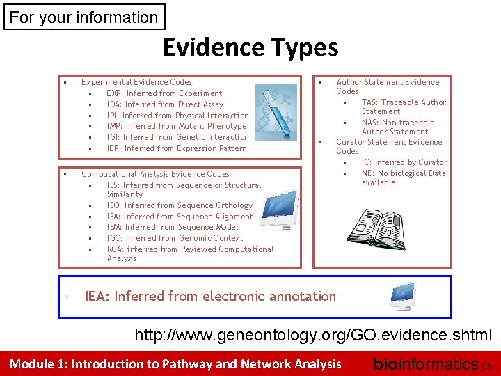 For your information Evidence Types • • Experimental Evidence Codes • EXP: Inferred from