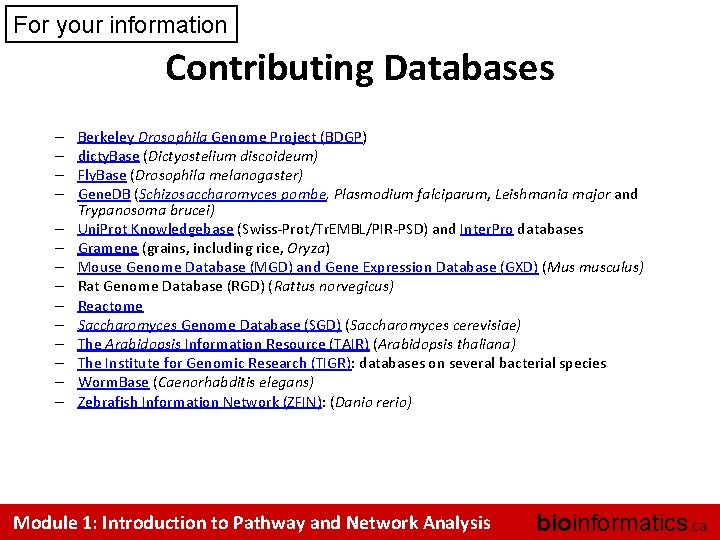 For your information Contributing Databases – – – – Berkeley Drosophila Genome Project (BDGP)
