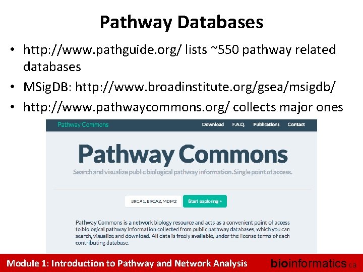 Pathway Databases • http: //www. pathguide. org/ lists ~550 pathway related databases • MSig.