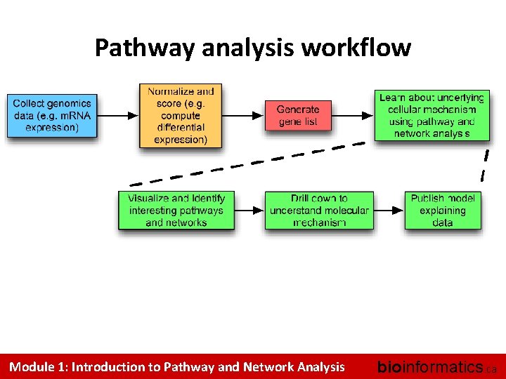 Pathway analysis workflow Module 1: Introduction to Pathway and Network Analysis bioinformatics. ca 