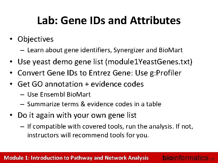 Lab: Gene IDs and Attributes • Objectives – Learn about gene identifiers, Synergizer and