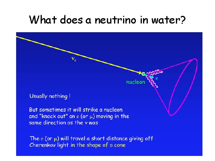 What does a neutrino in water? 