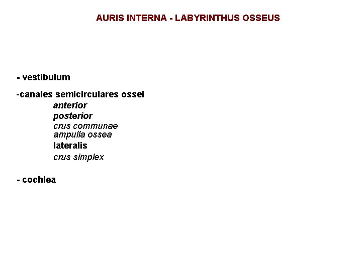 AURIS INTERNA - LABYRINTHUS OSSEUS - vestibulum -canales semicirculares ossei anterior posterior crus communae