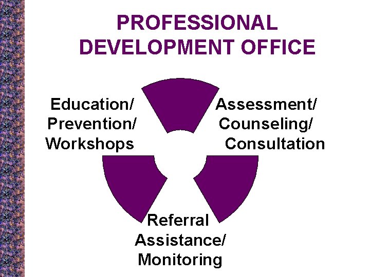 PROFESSIONAL DEVELOPMENT OFFICE Education/ Prevention/ Workshops Assessment/ Counseling/ Consultation Referral Assistance/ Monitoring 
