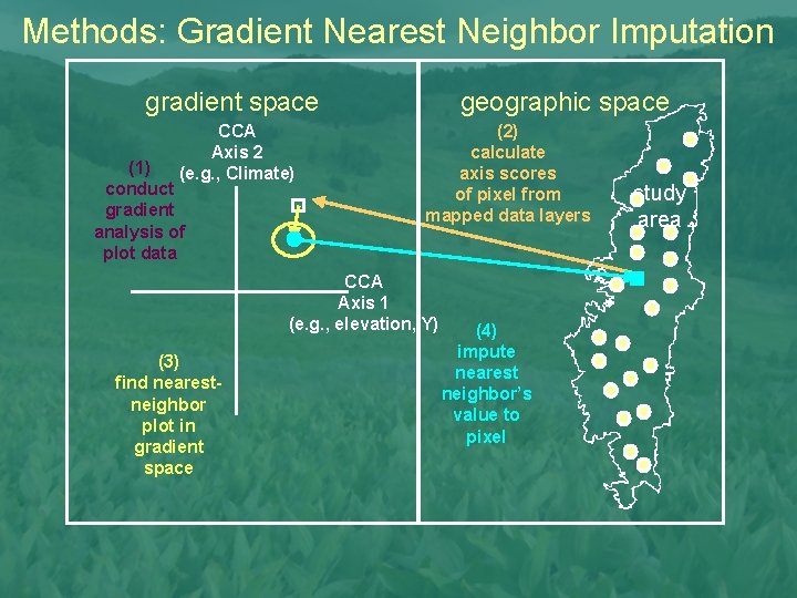 Methods: Gradient Nearest Neighbor Imputation gradient space CCA Axis 2 (e. g. , Climate)
