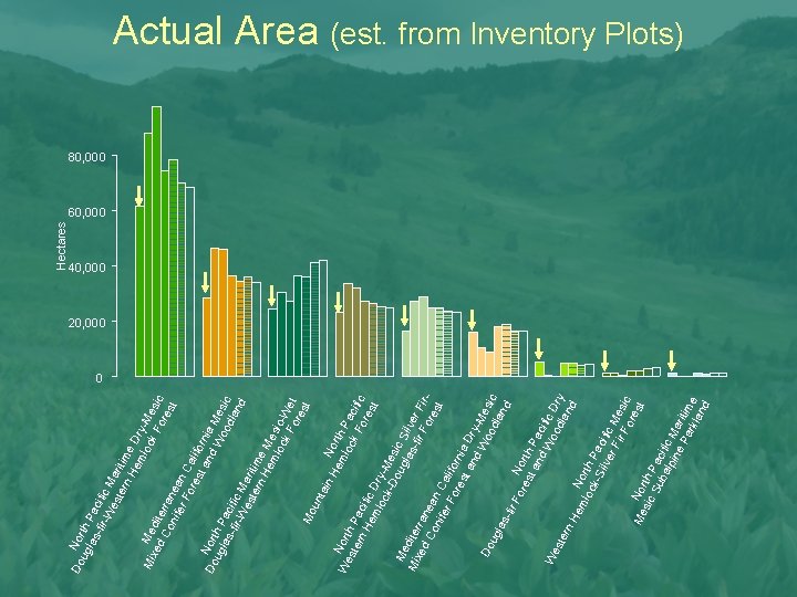 Do Nor ug th P las -fir acifi -W c M es ter aritim