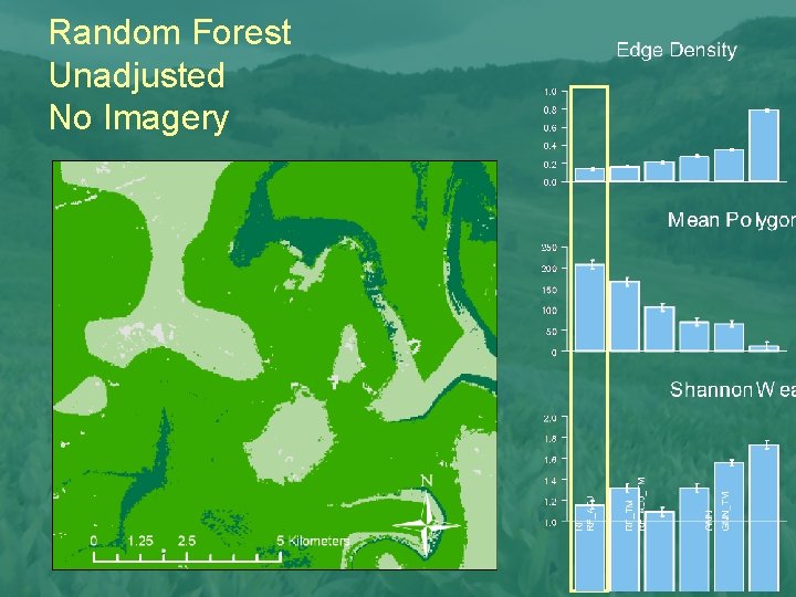 Random Forest Unadjusted No Imagery 