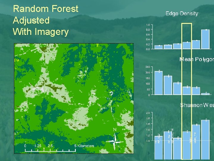 Random Forest Adjusted With Imagery 
