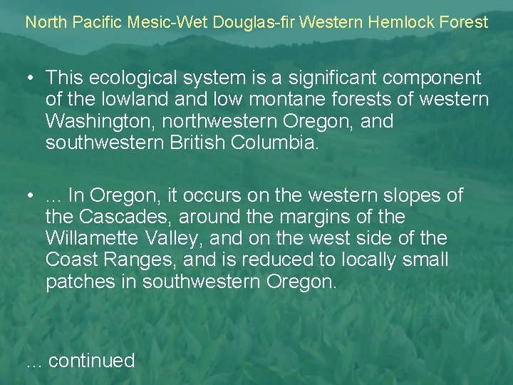 North Pacific Mesic-Wet Douglas-fir Western Hemlock Forest • This ecological system is a significant