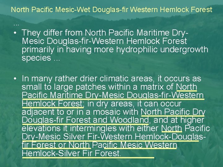 North Pacific Mesic-Wet Douglas-fir Western Hemlock Forest. . . • They differ from North