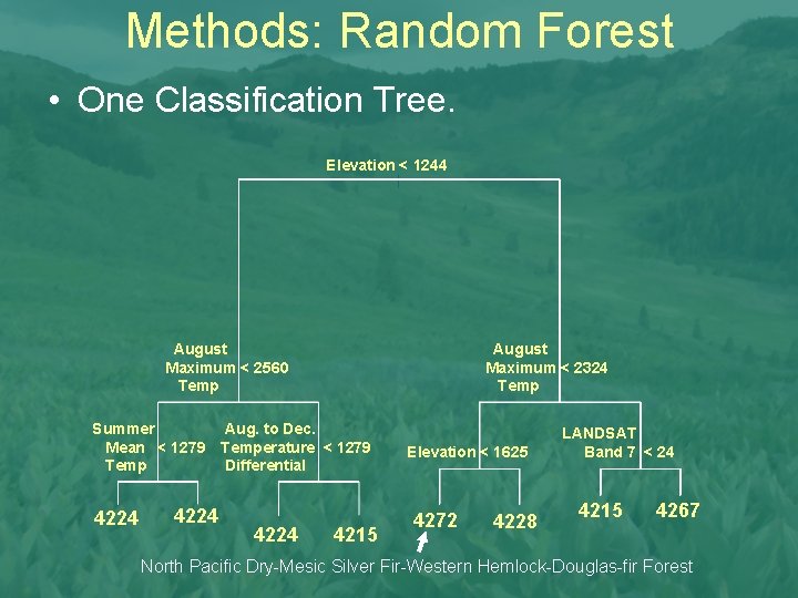Methods: Random Forest • One Classification Tree. Elevation < 1244 August Maximum < 2560