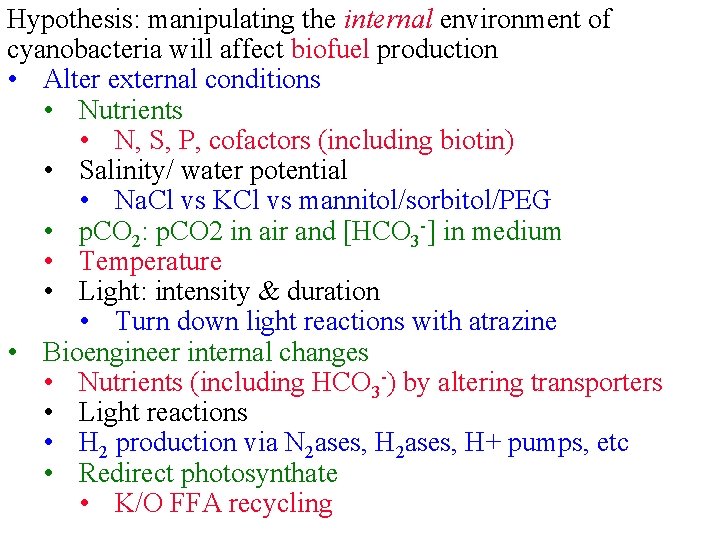 Hypothesis: manipulating the internal environment of cyanobacteria will affect biofuel production • Alter external