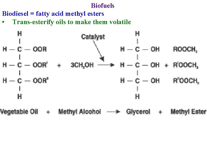 Biofuels Biodiesel = fatty acid methyl esters • Trans-esterify oils to make them volatile