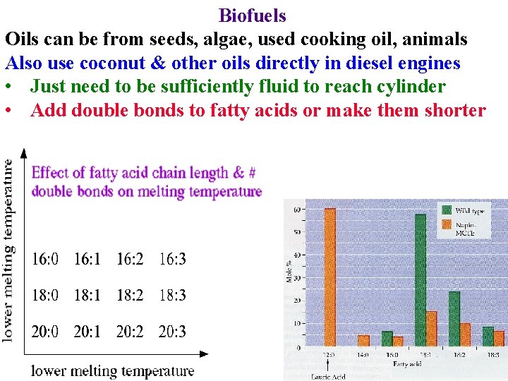 Biofuels Oils can be from seeds, algae, used cooking oil, animals Also use coconut