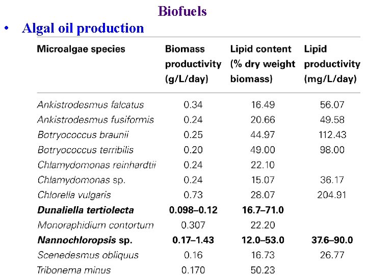 Biofuels • Algal oil production 