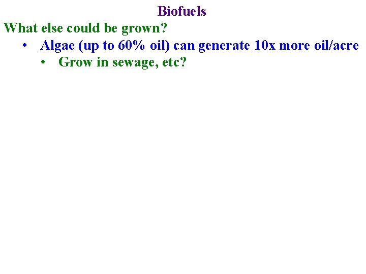 Biofuels What else could be grown? • Algae (up to 60% oil) can generate