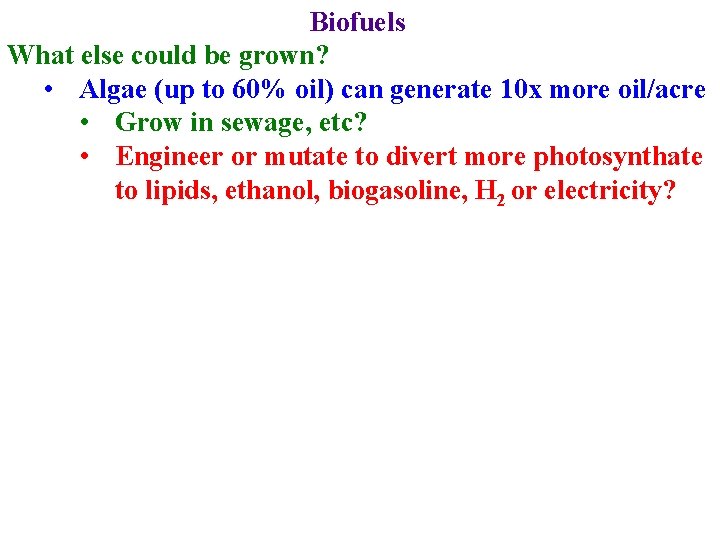 Biofuels What else could be grown? • Algae (up to 60% oil) can generate
