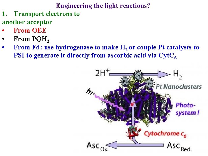 Engineering the light reactions? 1. Transport electrons to another acceptor • From OEE •