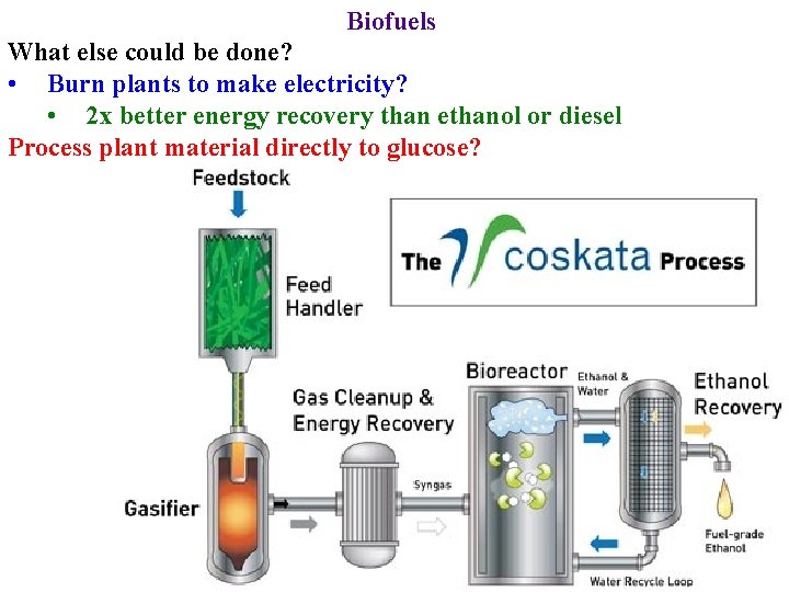 Biofuels What else could be done? • Burn plants to make electricity? • 2